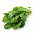spinach,Spinach,"<p>Tender, pre-washed Baby Spinach.</p>",Local Farm,Vegetables,"spinach, fresh, greens",TRUE,Size,5 oz Tub,3.29,100,