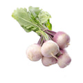turnip,Turnip,"<p>Crisp, sharp white Turnip root.</p>",Local Farm,Vegetables,"turnip, fresh",TRUE,Weight,Per lb,1.69,100,